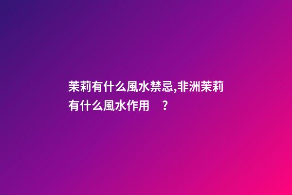 茉莉有什么風水禁忌,非洲茉莉有什么風水作用？